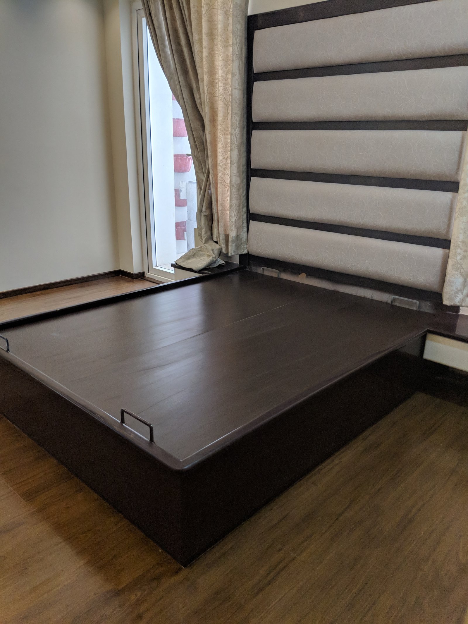 Delhi project