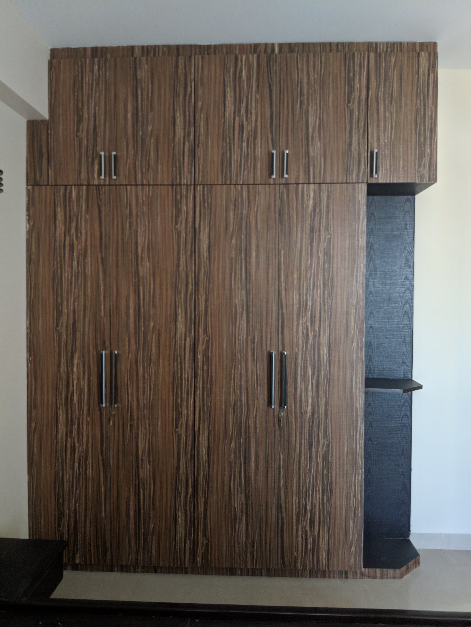 Delhi project