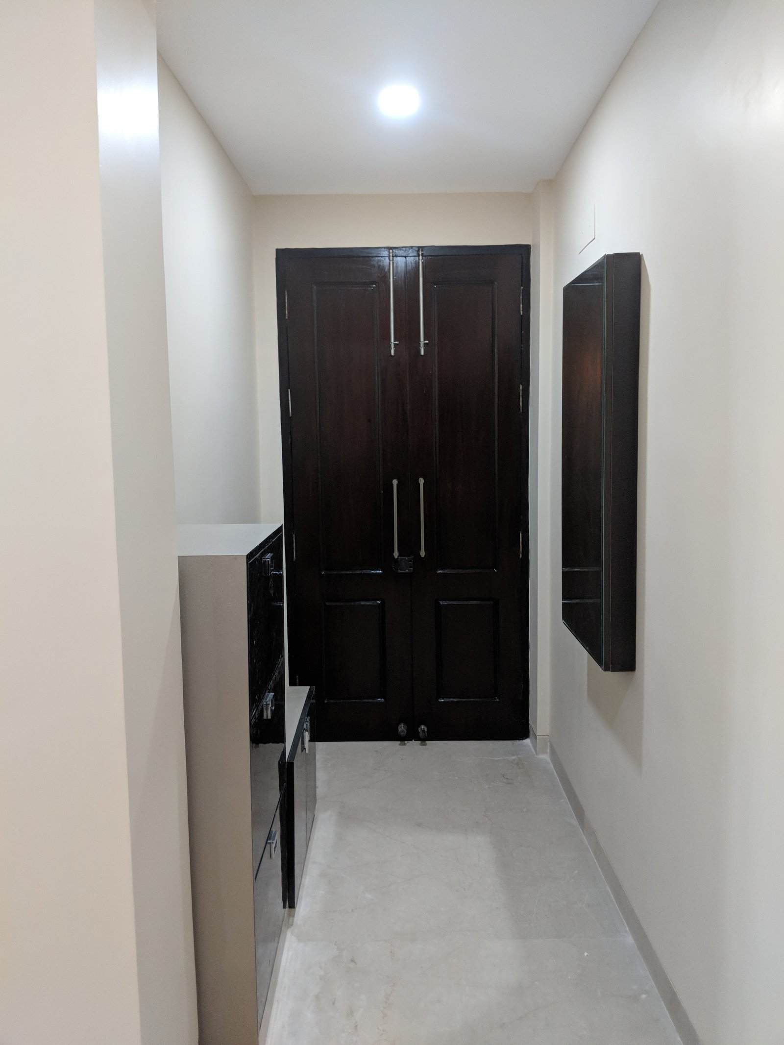 Delhi project