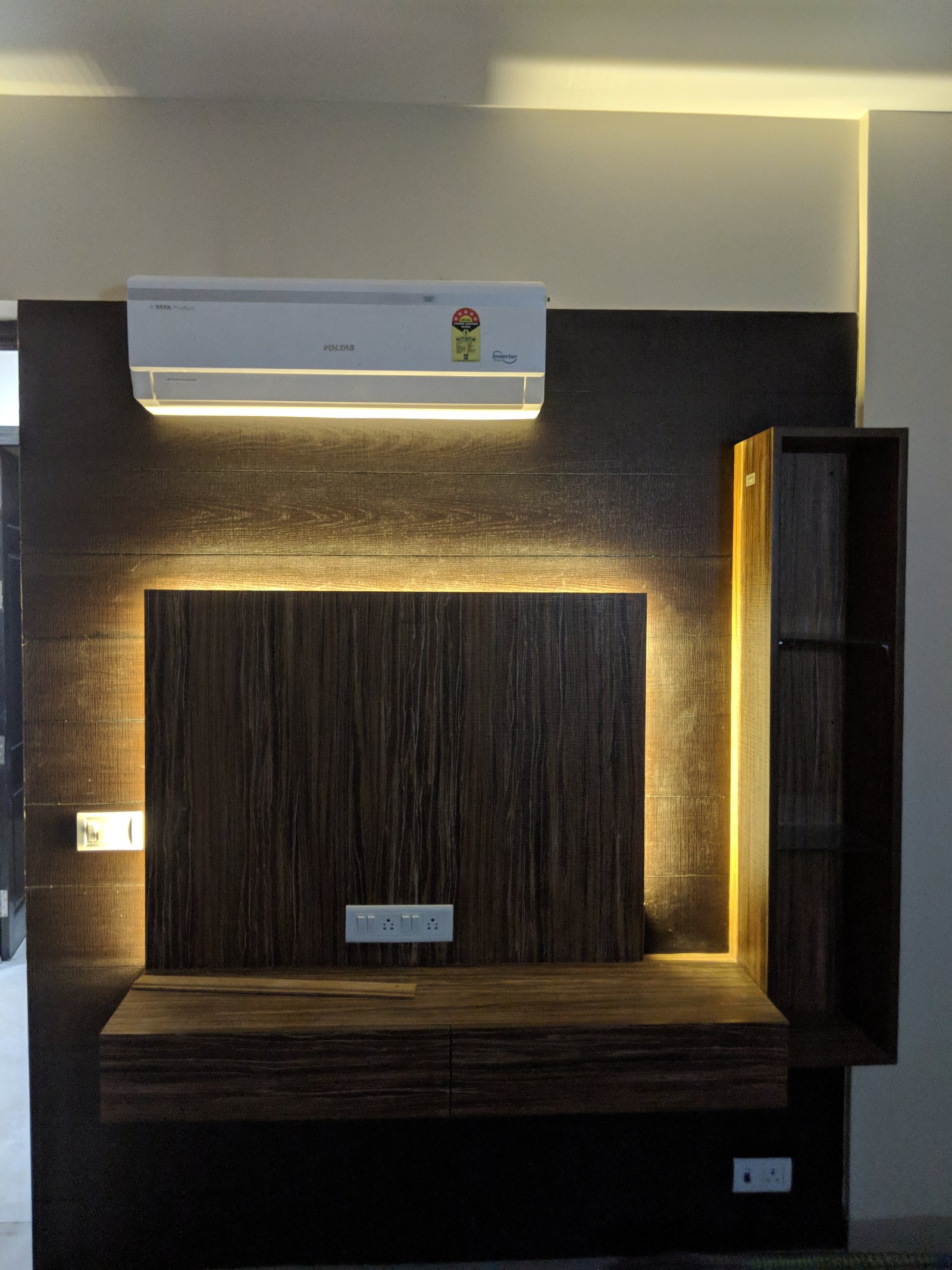 Delhi project