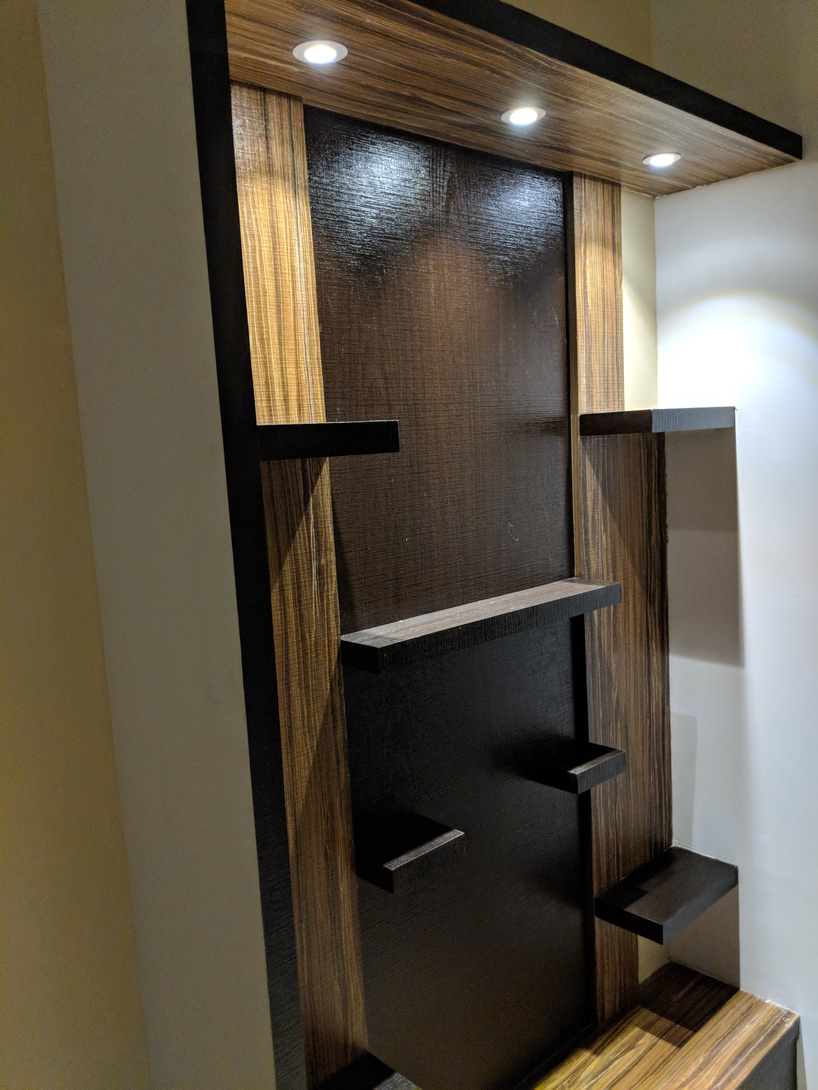 Delhi project