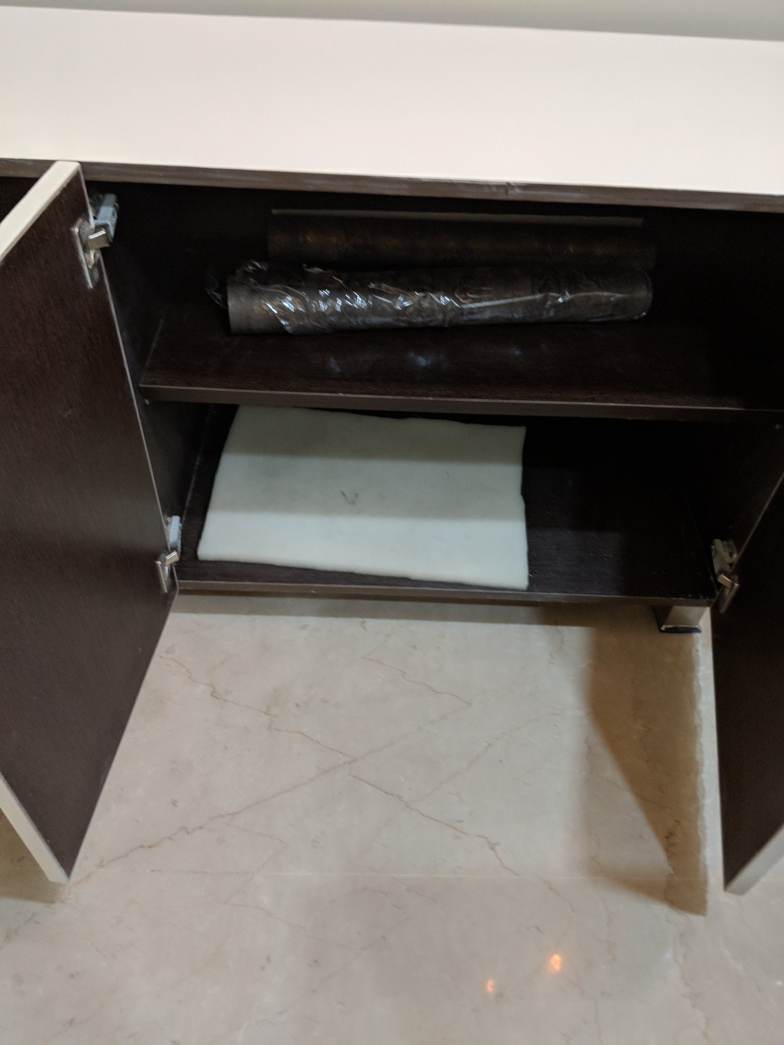 Delhi project