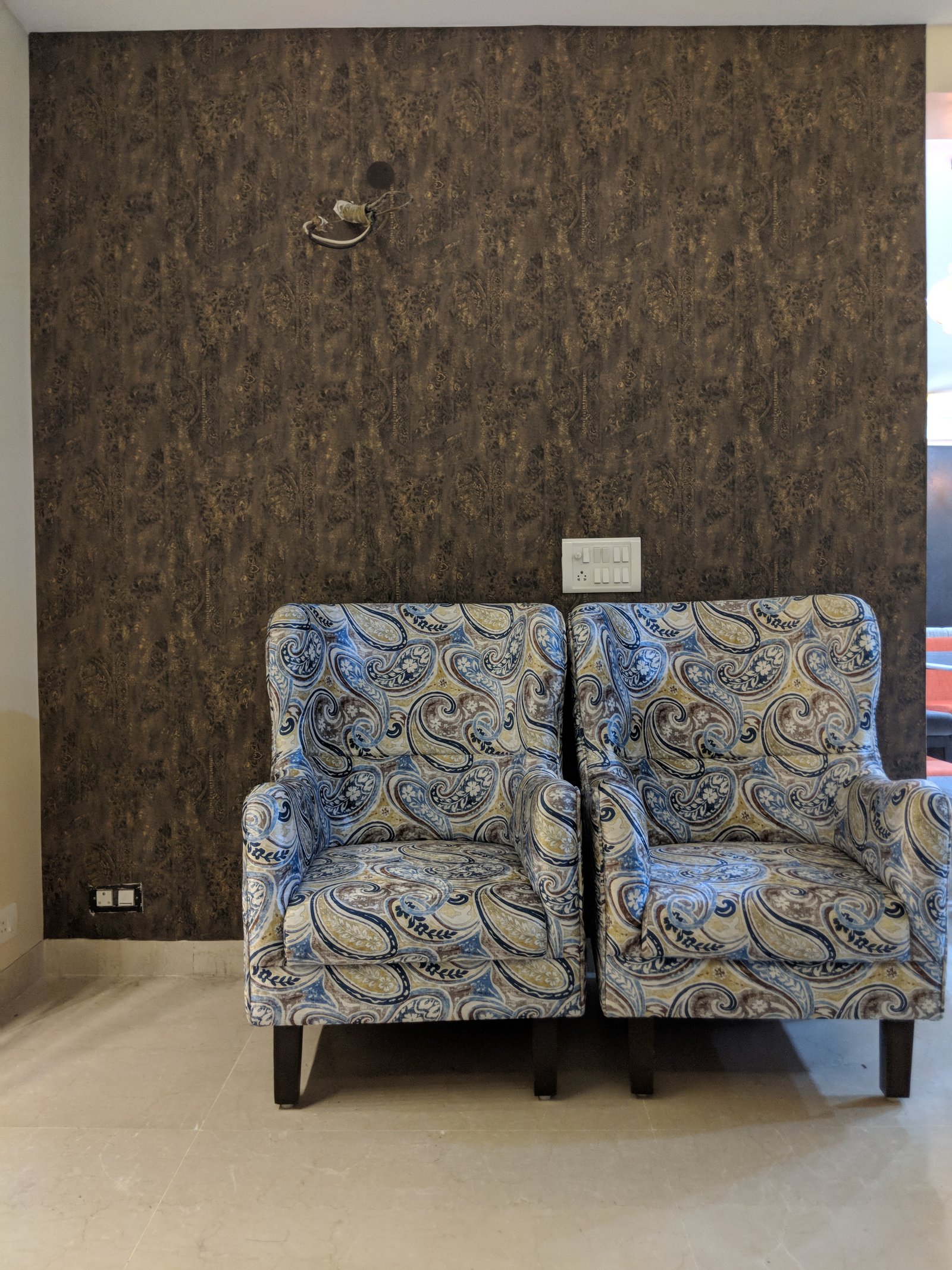 Delhi project