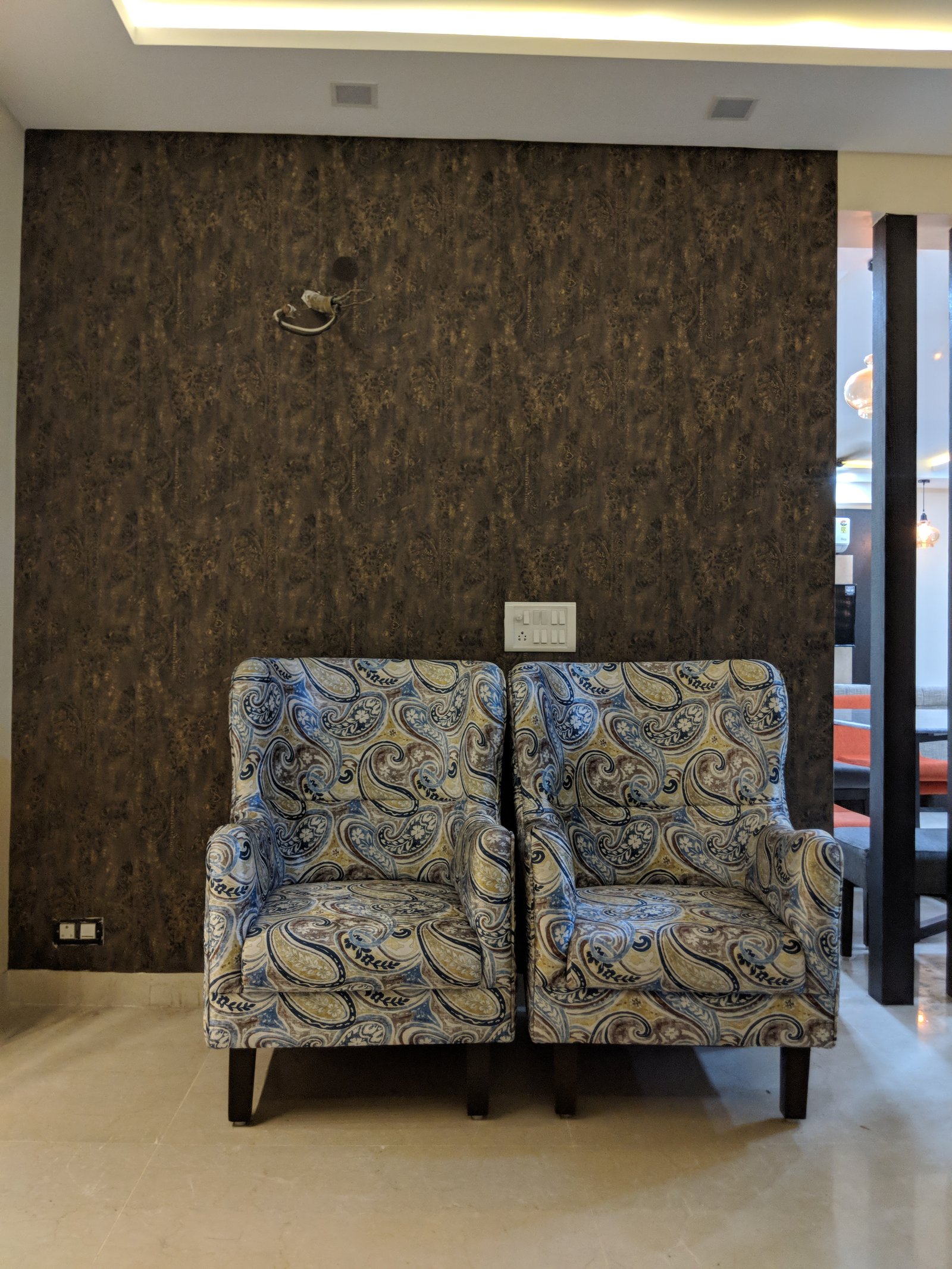 Delhi project
