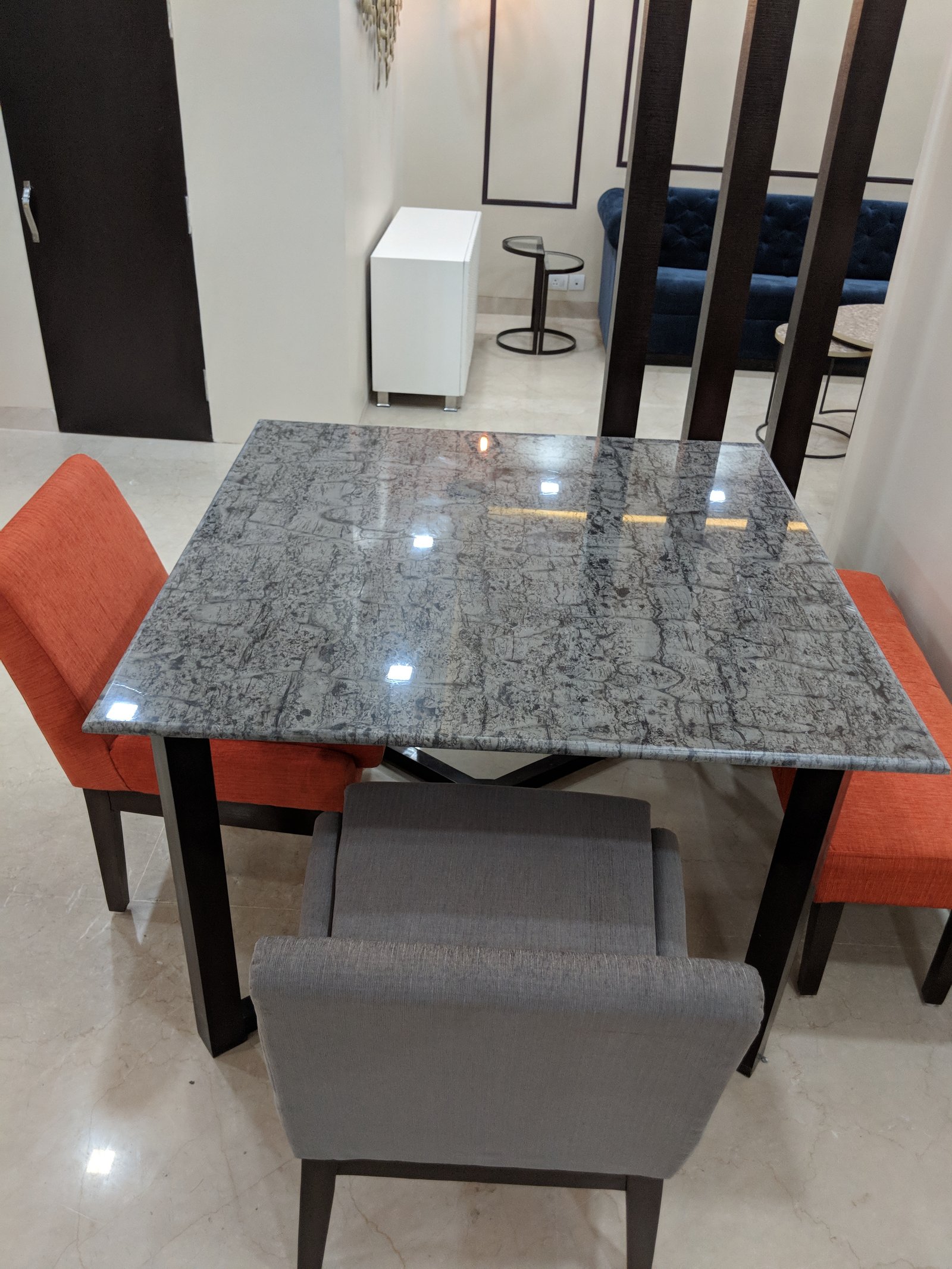 Delhi project