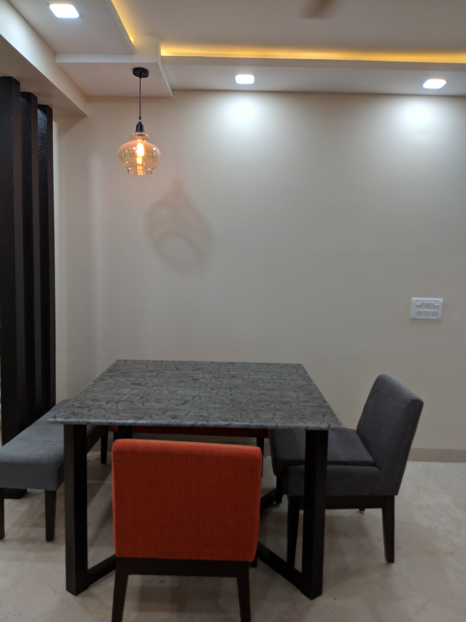 Delhi project