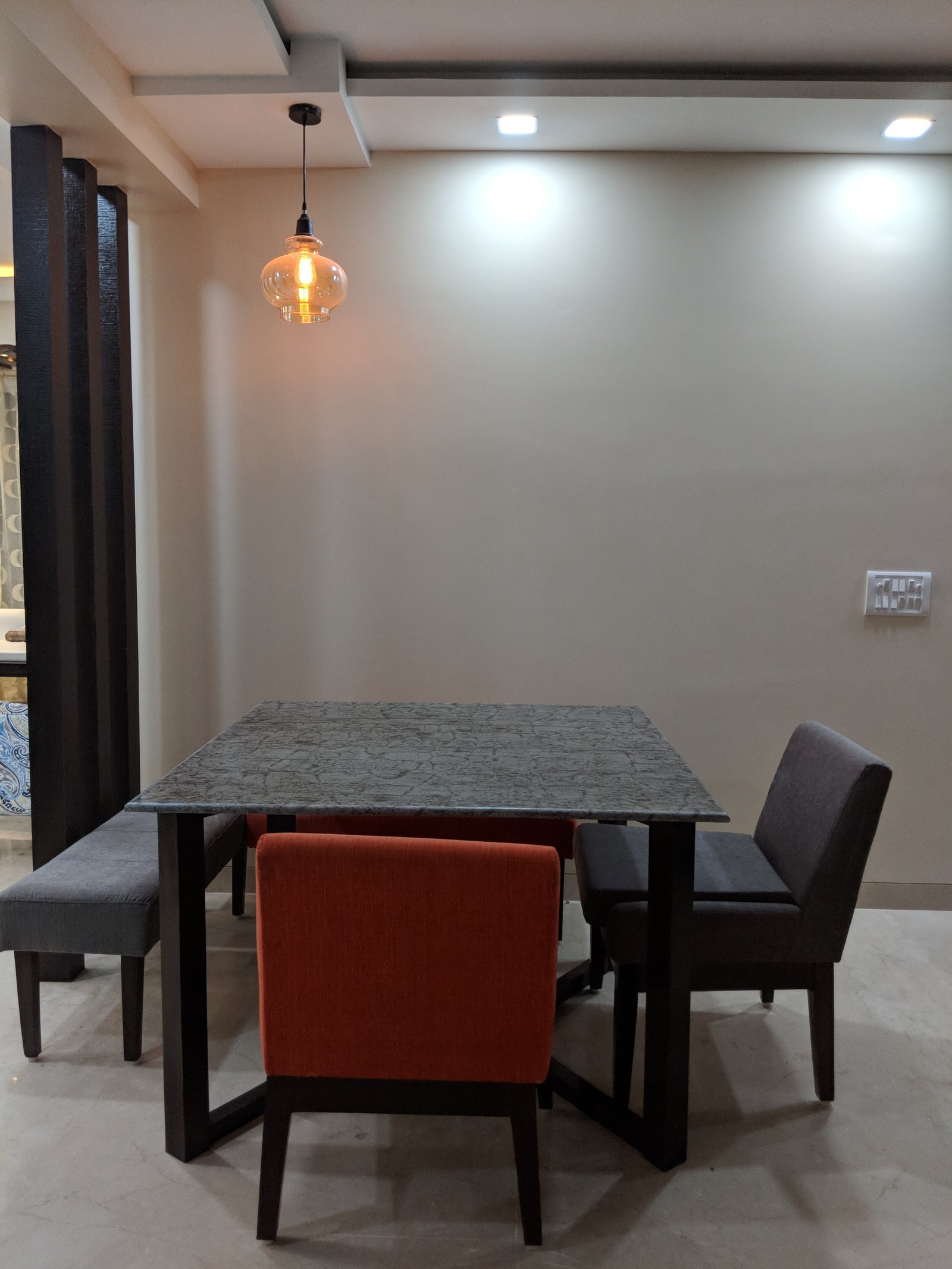 Delhi project