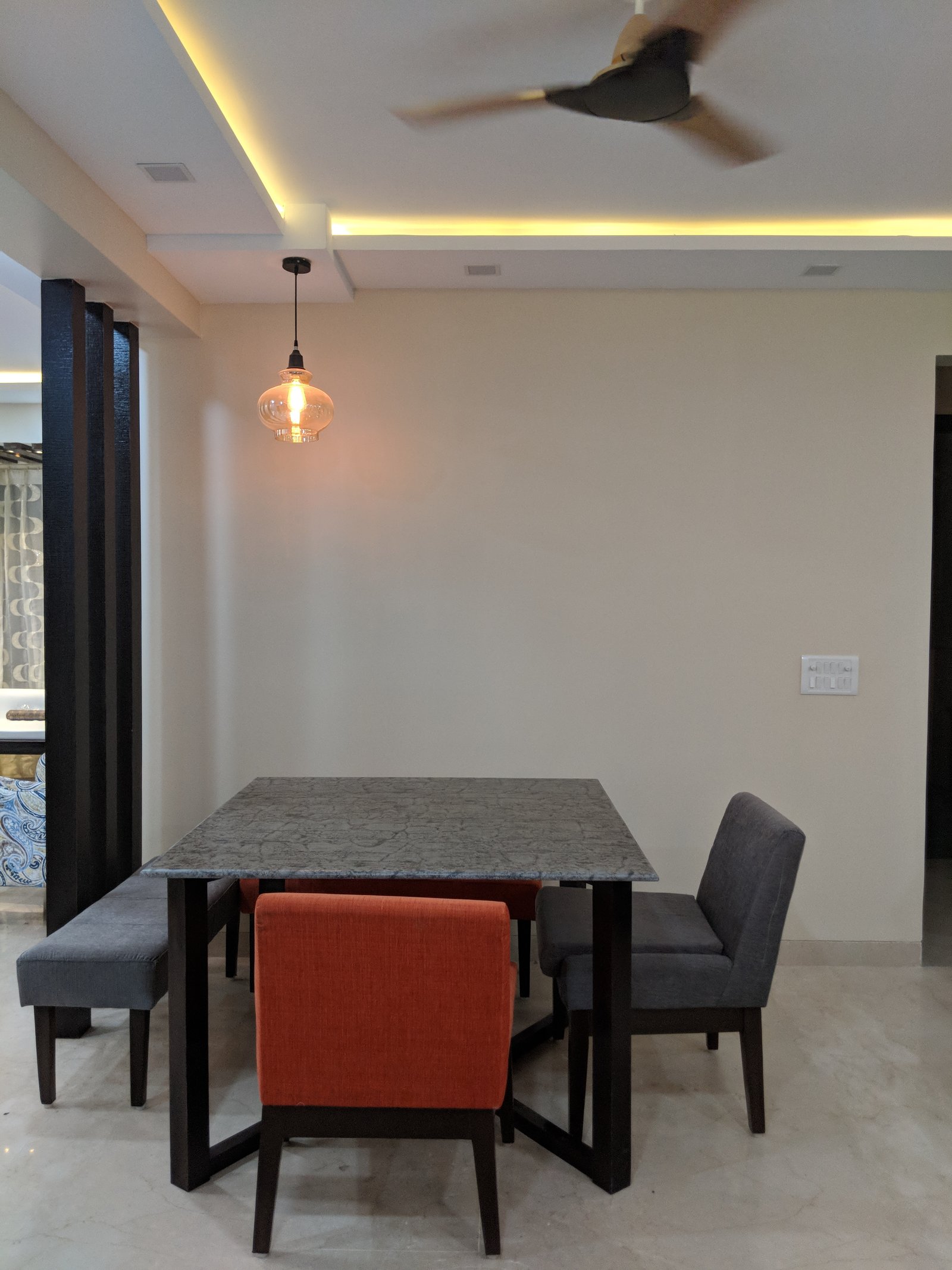 Delhi project