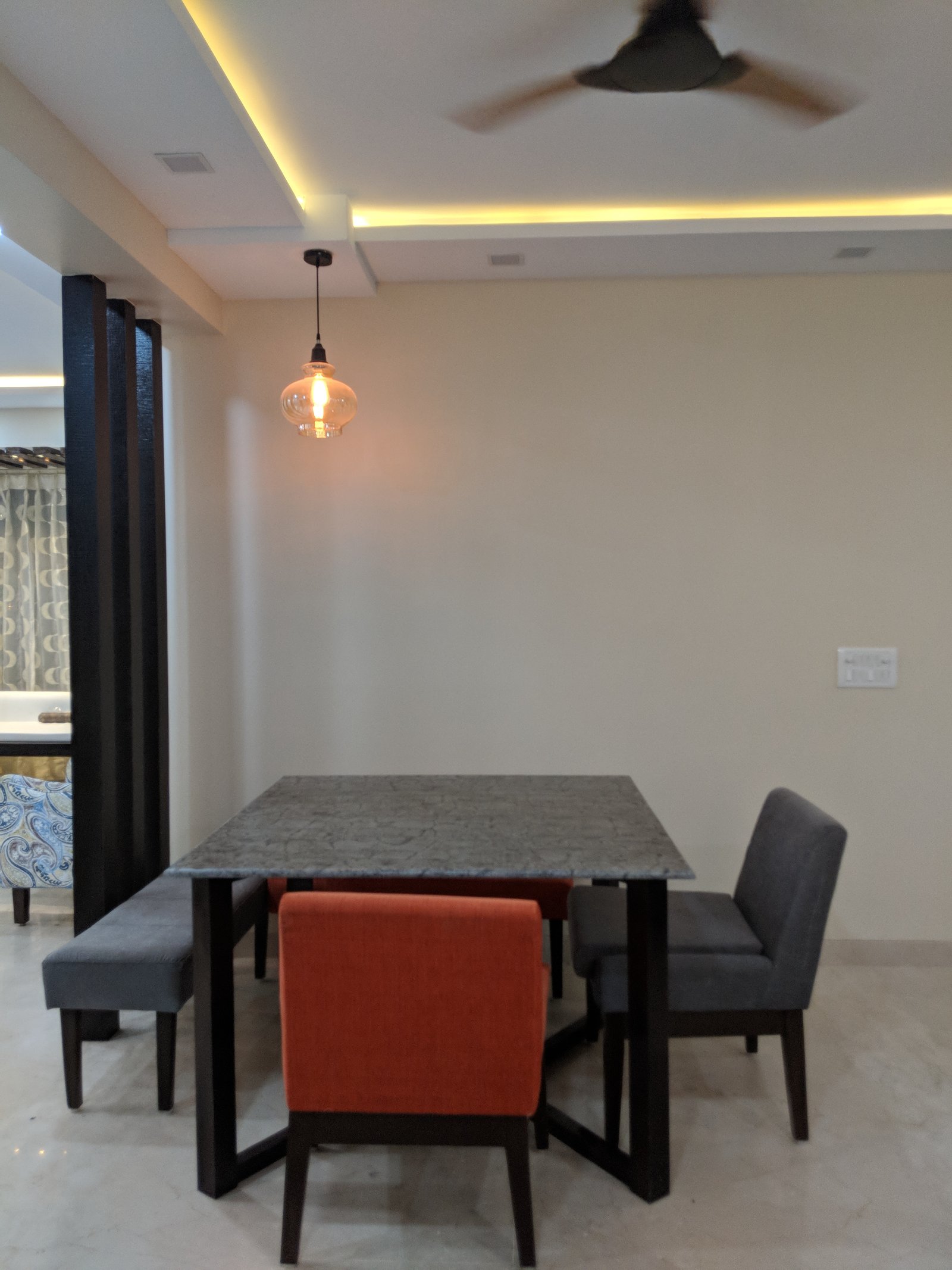 Delhi project
