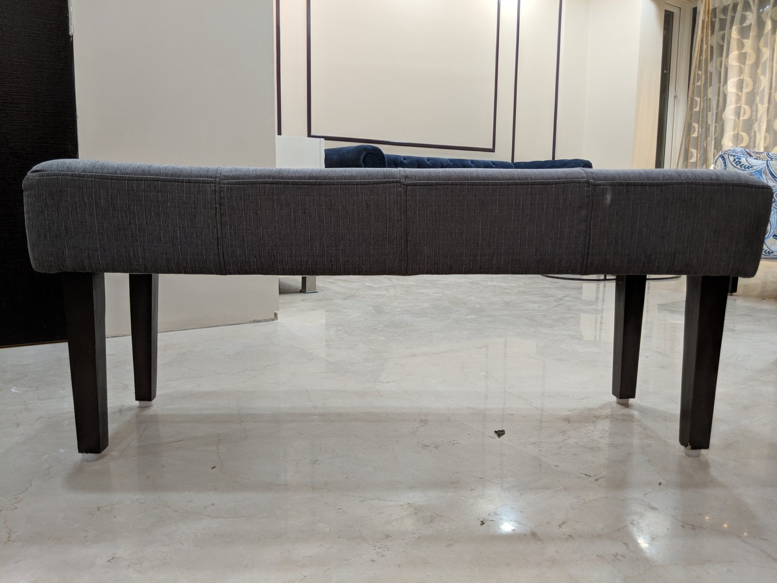 Delhi project