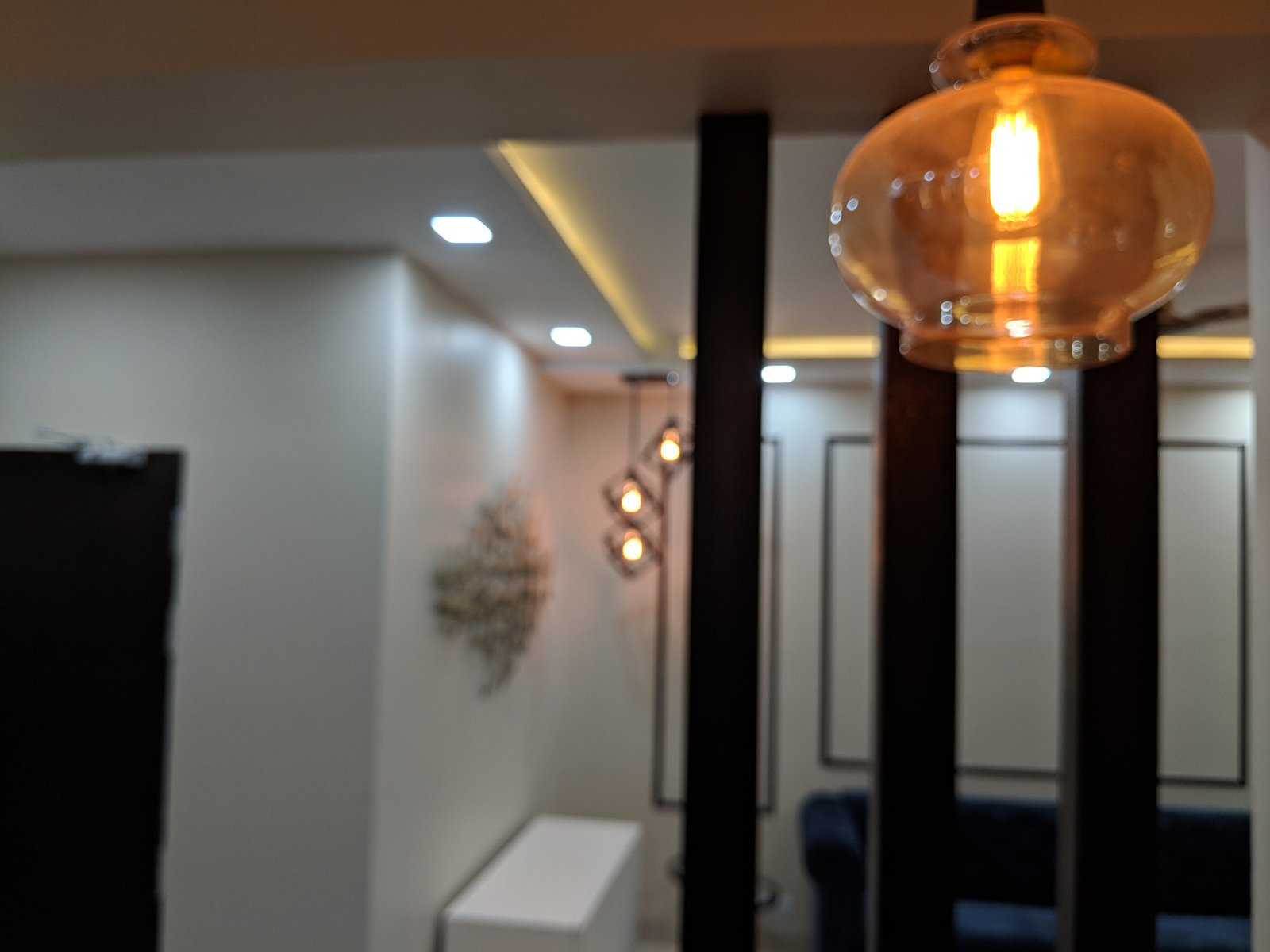 Delhi project