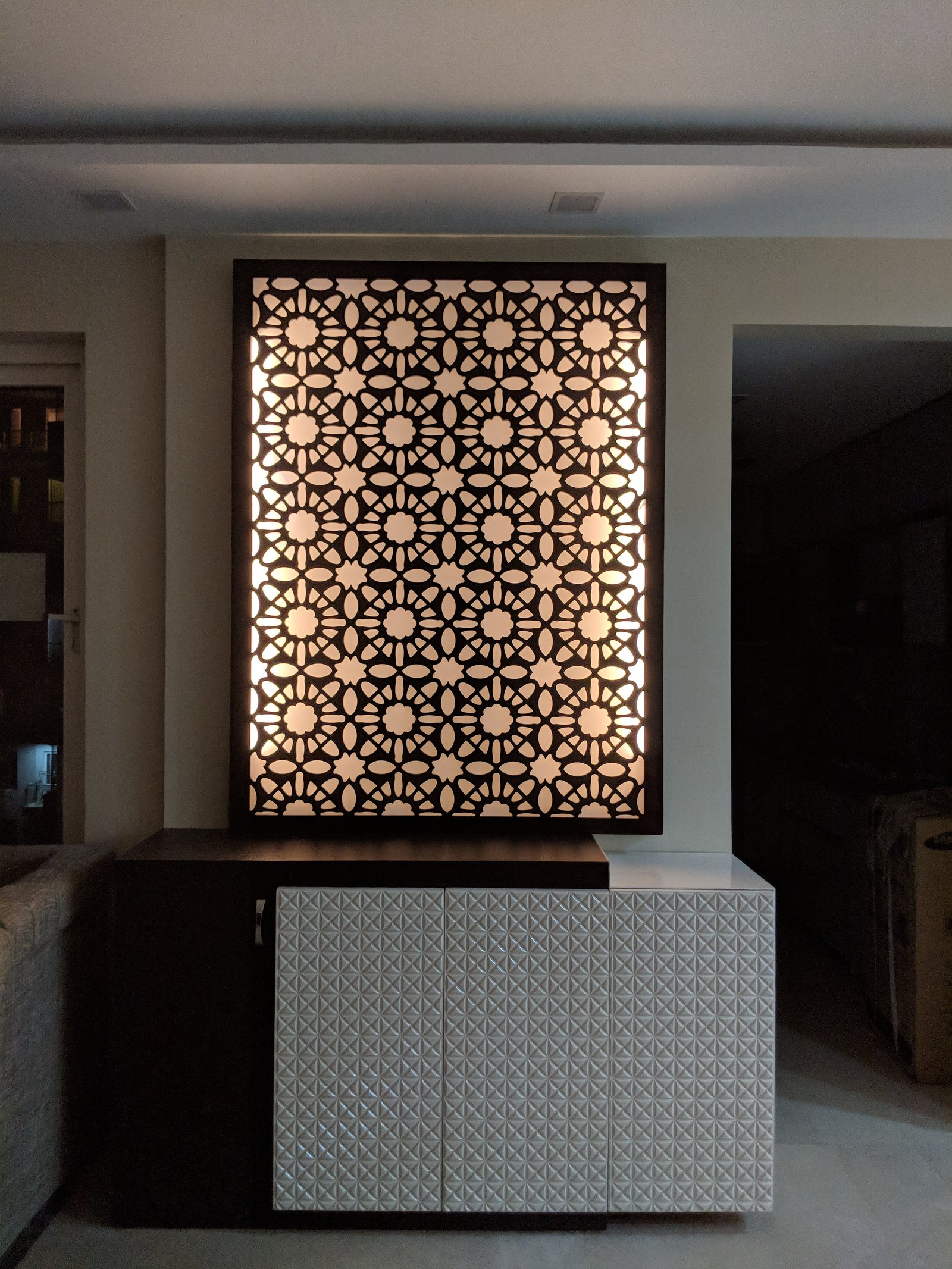 Delhi project