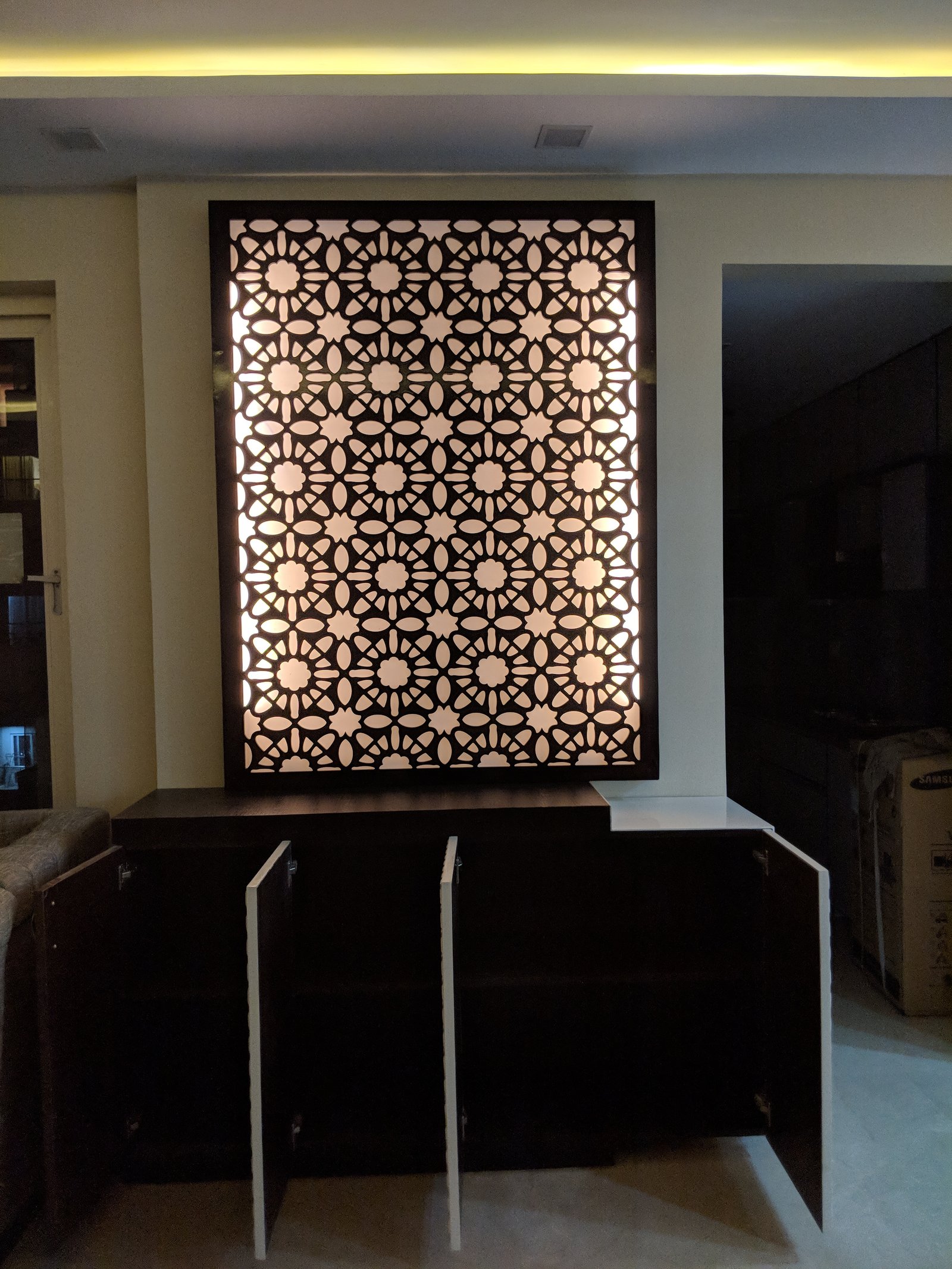 Delhi project