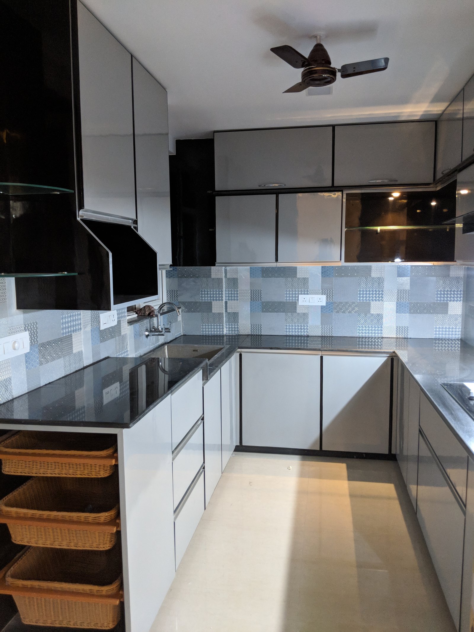Delhi project