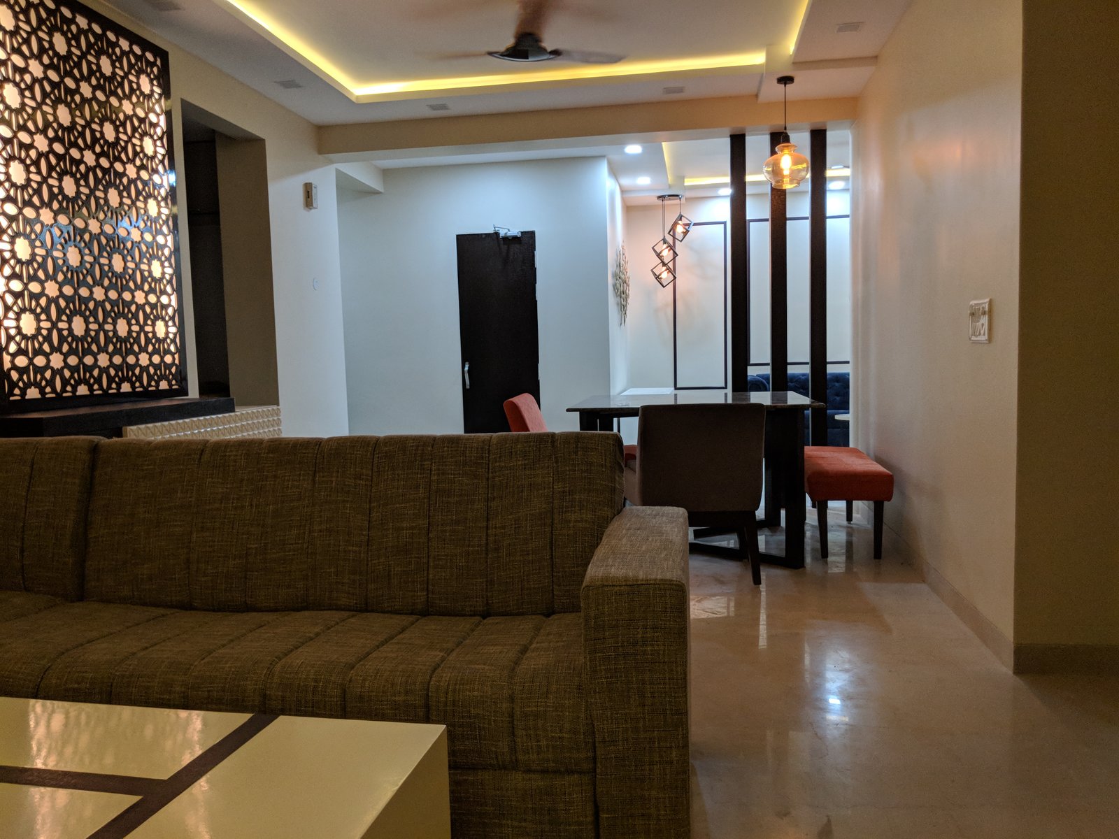 Delhi project