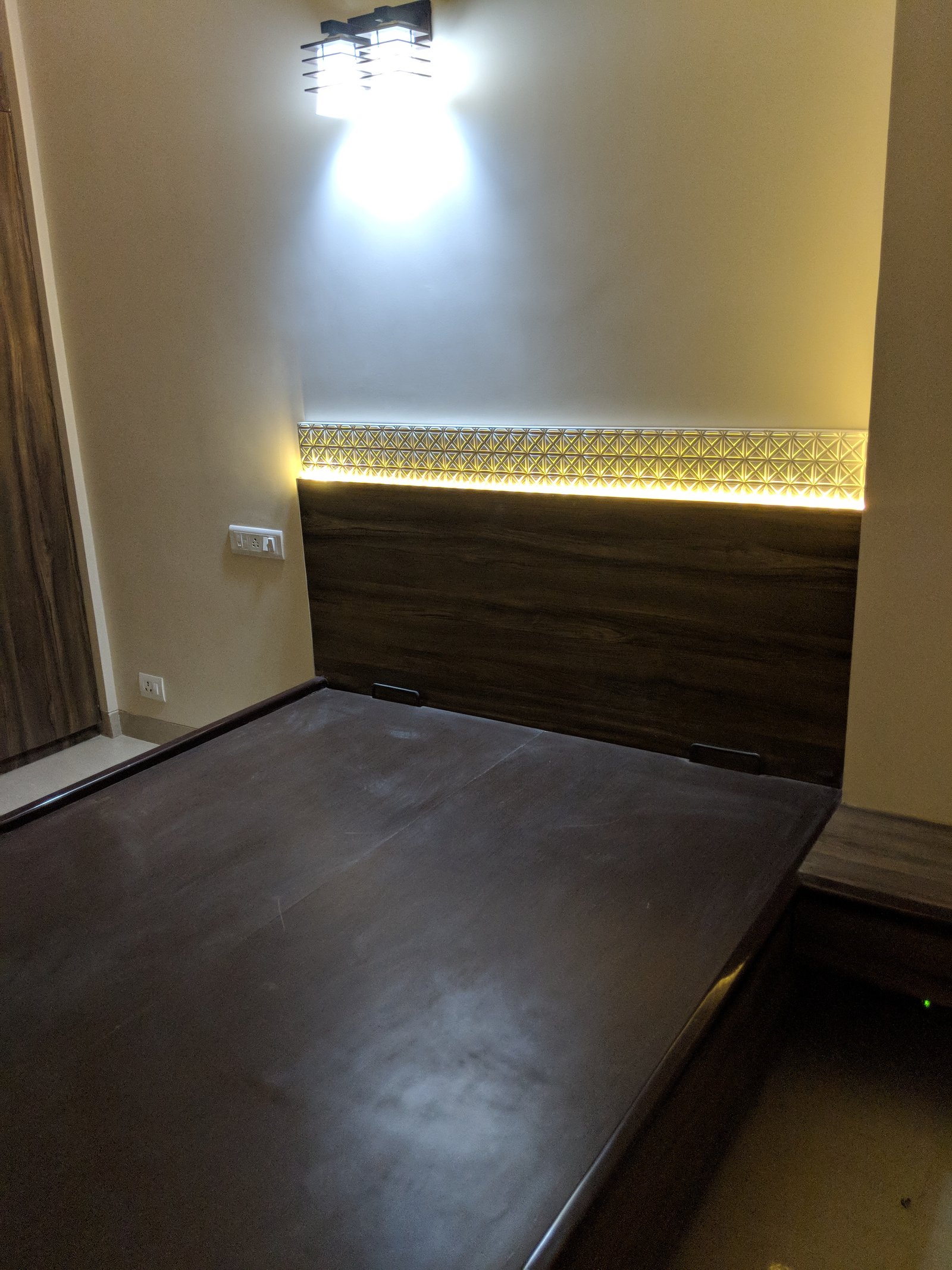 Delhi project
