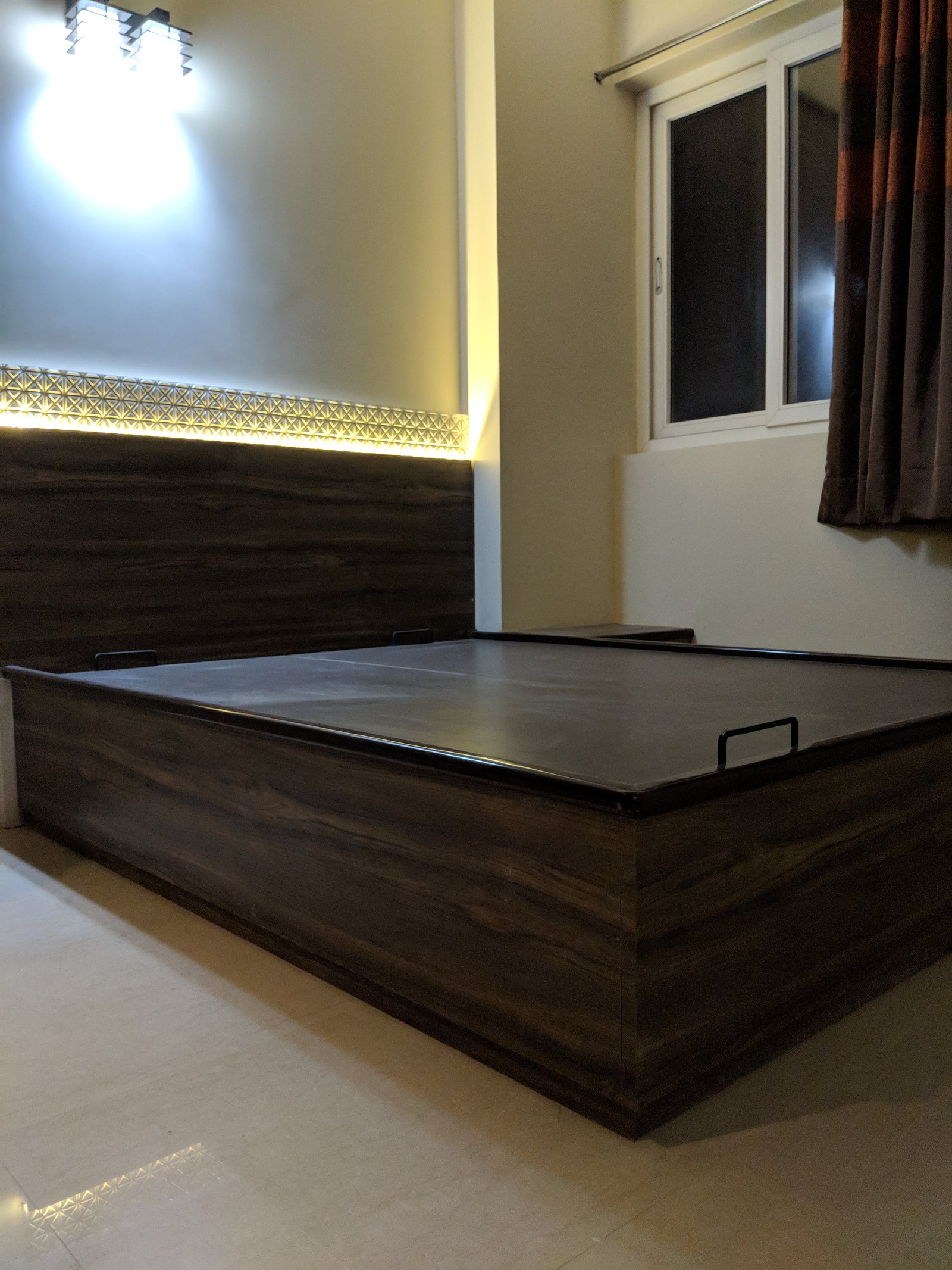 Delhi project