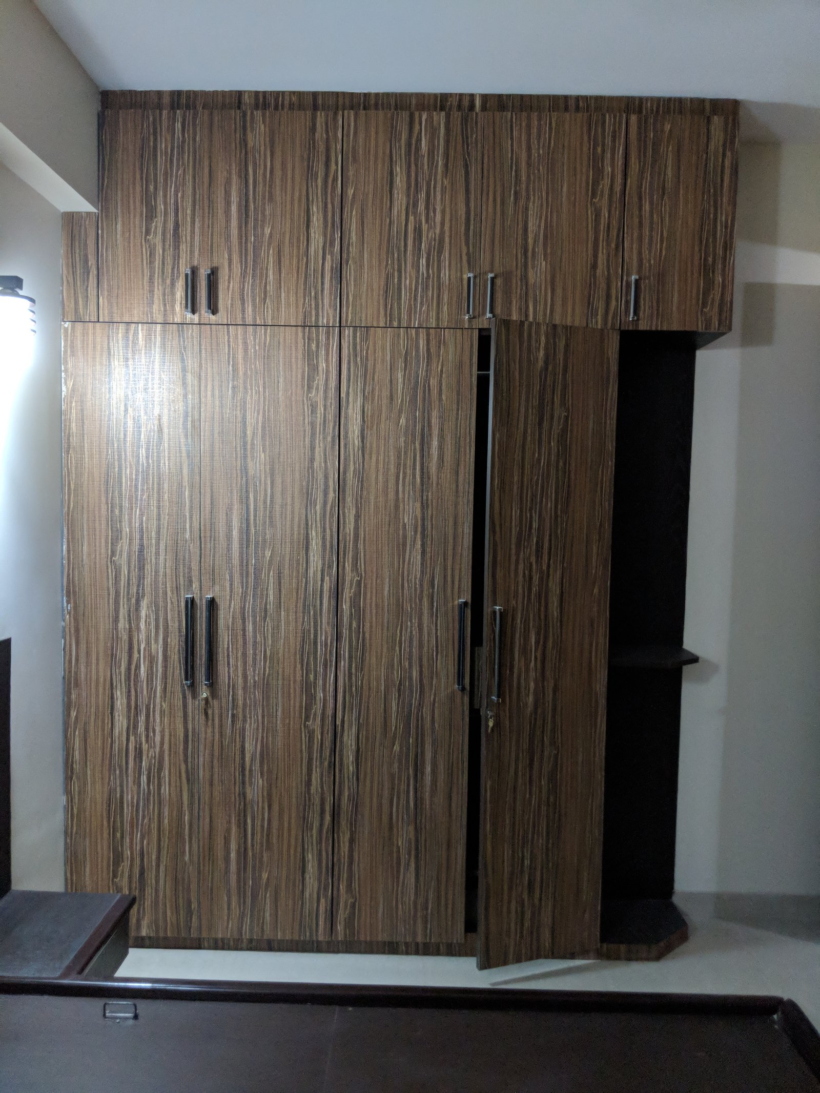 Delhi project