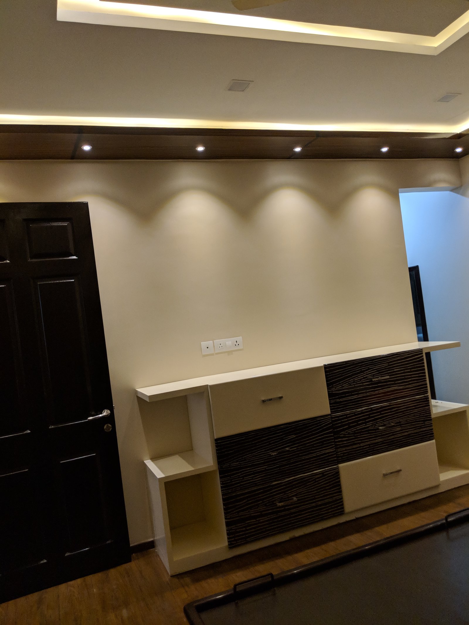 Delhi project