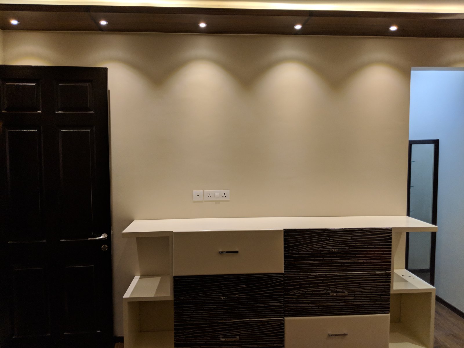 Delhi project