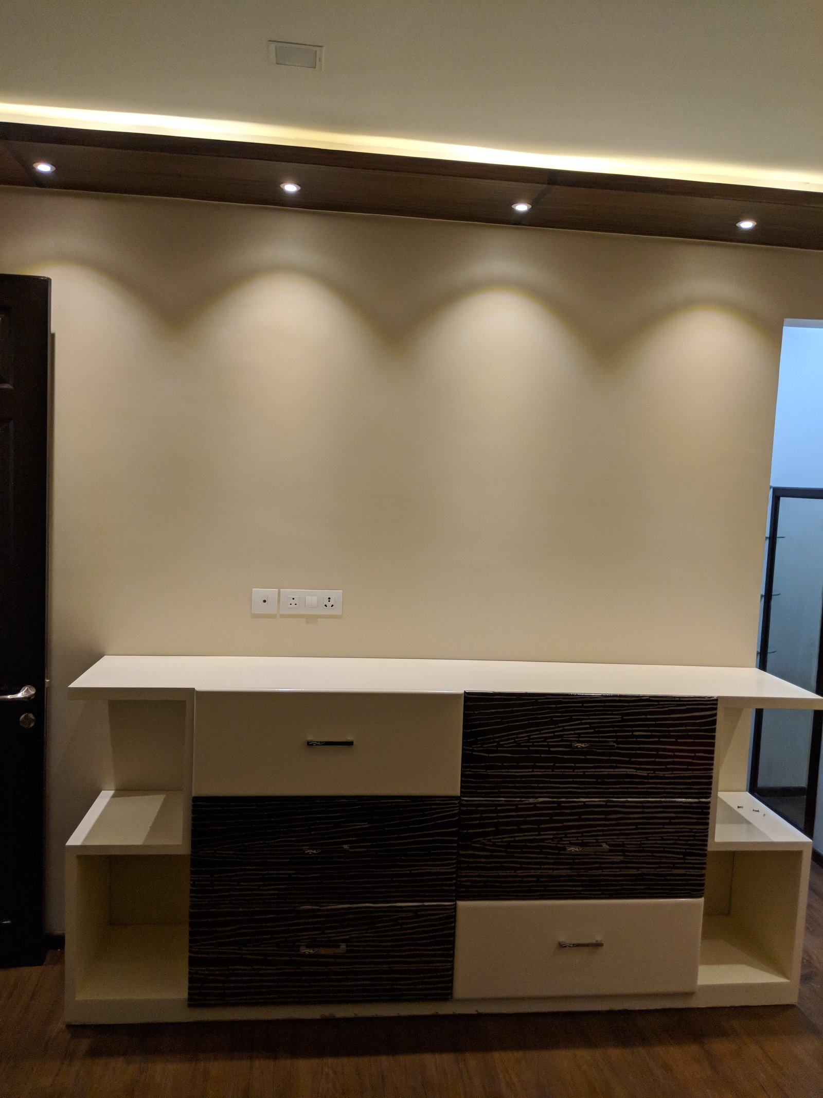 Delhi project