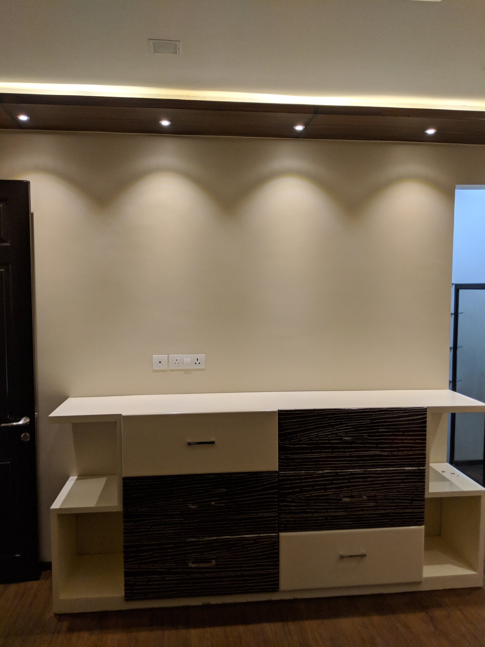 Delhi project