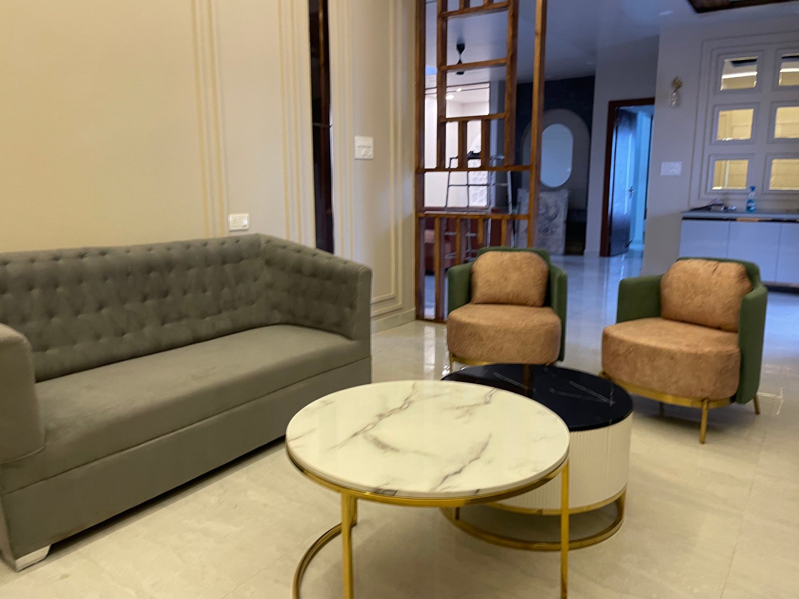 Lucknow project